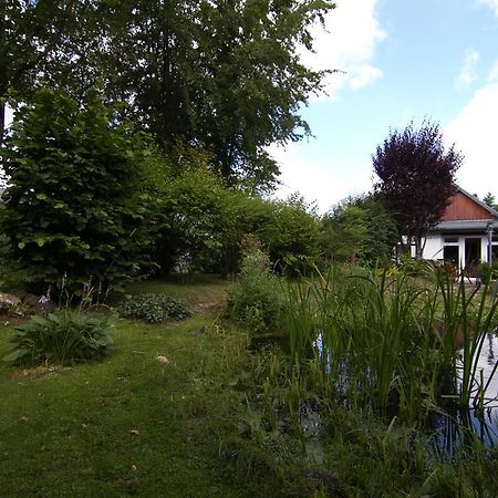 Ferienhaus Wildblick Schleiden Bagian luar foto